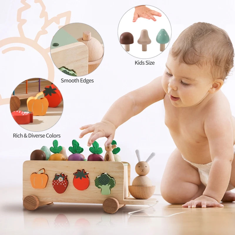 Montessori Baby Matching Toy