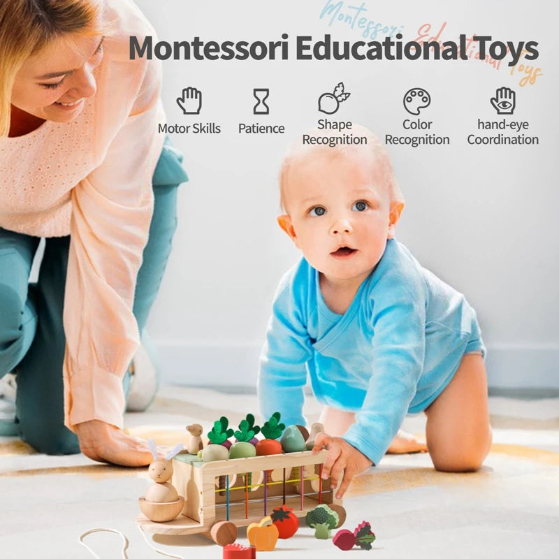 Montessori Baby Matching Toy